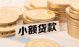 深圳哪里有小额贷款-深圳身份证贷款平台-深圳民间短借